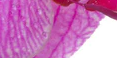3-52897809334539-44326803079435.png