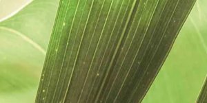 3-52927357255947-66321940578571.jpeg
