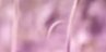 3-52936259469579-44329683812619.jpeg