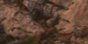 3-52953455657227-46216173256971.jpeg
