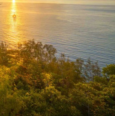 3-52986404471051-66100672921867.jpeg