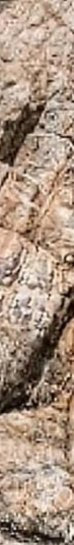 3-53042170331403-40428076204299.jpeg