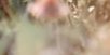 3-53061450957067-44323914252555.jpeg