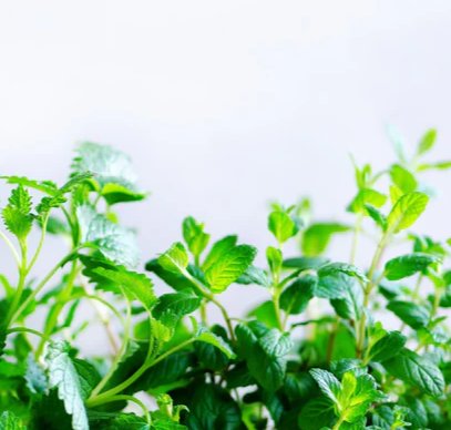 3-53117107208459-44359451476235.jpeg