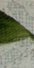 3-53141301821707-44343111418123.jpeg