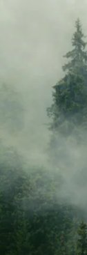 3-53152374817035-50812216344843.jpeg