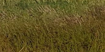 3-53161228566795-40428056740107.jpeg