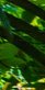 3-53177728205067-46392367939851.jpeg