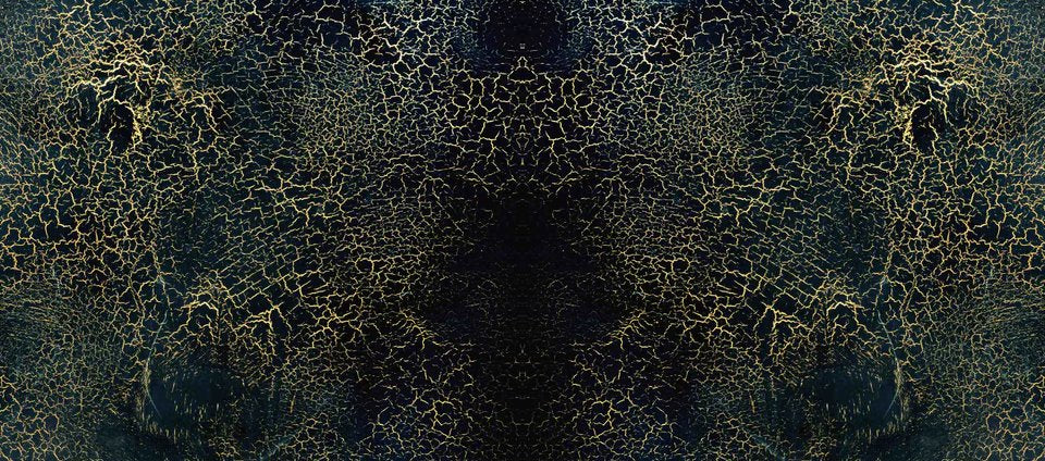3-53243963670795-66288043131147.jpeg