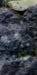 3-53286333874443-44342946988299.jpeg