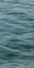 3-53296699506955-64455616790795.jpeg