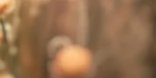 3-53317805375755-44325476761867.jpeg