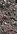 3-53324010488075-65042542231819.jpeg