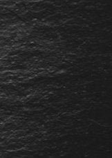 3-53340471197963-46214849429771.jpeg