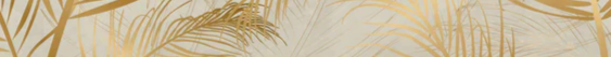4-51296768753931-46299014005003.png