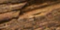 4-51352955027723-44324441030923.png