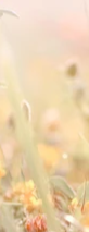 4-52039916847371-44323914252555.png