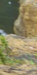 4-52850972197131-44343000498443.png