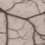 4-52855269490955-45938873008395.png