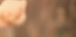 4-52871104299275-44325476761867.png