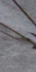 4-52893803020555-44343349117195.png