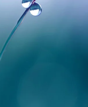 4-52894760763659-44327907098891.png