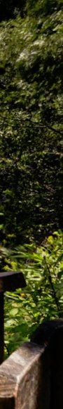 4-52920030724363-44343967645963.jpeg