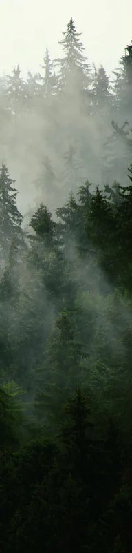 4-52975189262603-46343923335435.jpeg