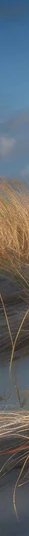 4-53005726220555-66711081517323.jpeg