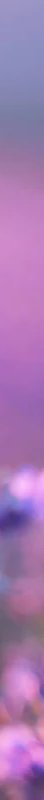 4-53005785891083-66693970788619.jpeg