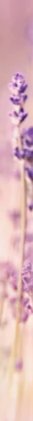 4-53017634177291-66707990282507.jpeg