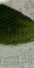 4-53185381892363-44343111418123.jpeg