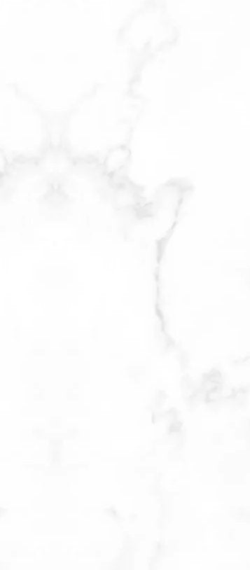4-53188726817035-66099684376843.jpeg