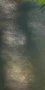4-53279597232395-65047454220555.jpeg