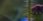 4-53317133435147-44327069810955.jpeg