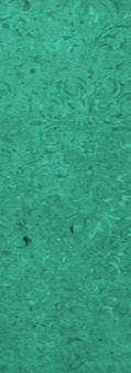 5-52095396774155-46503130497291.png