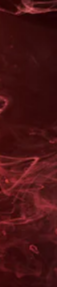 5-52820672676107-44329285517579.png