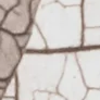 5-52855269523723-45938873008395.png