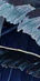 5-52885768667403-46321487872267.png