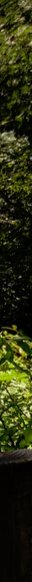 5-52920030757131-44343967645963.jpeg