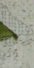 5-53185381925131-44343111418123.jpeg