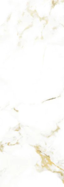 5-53250038694155-66102101704971.jpeg