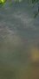 5-53279597265163-65047454220555.jpeg