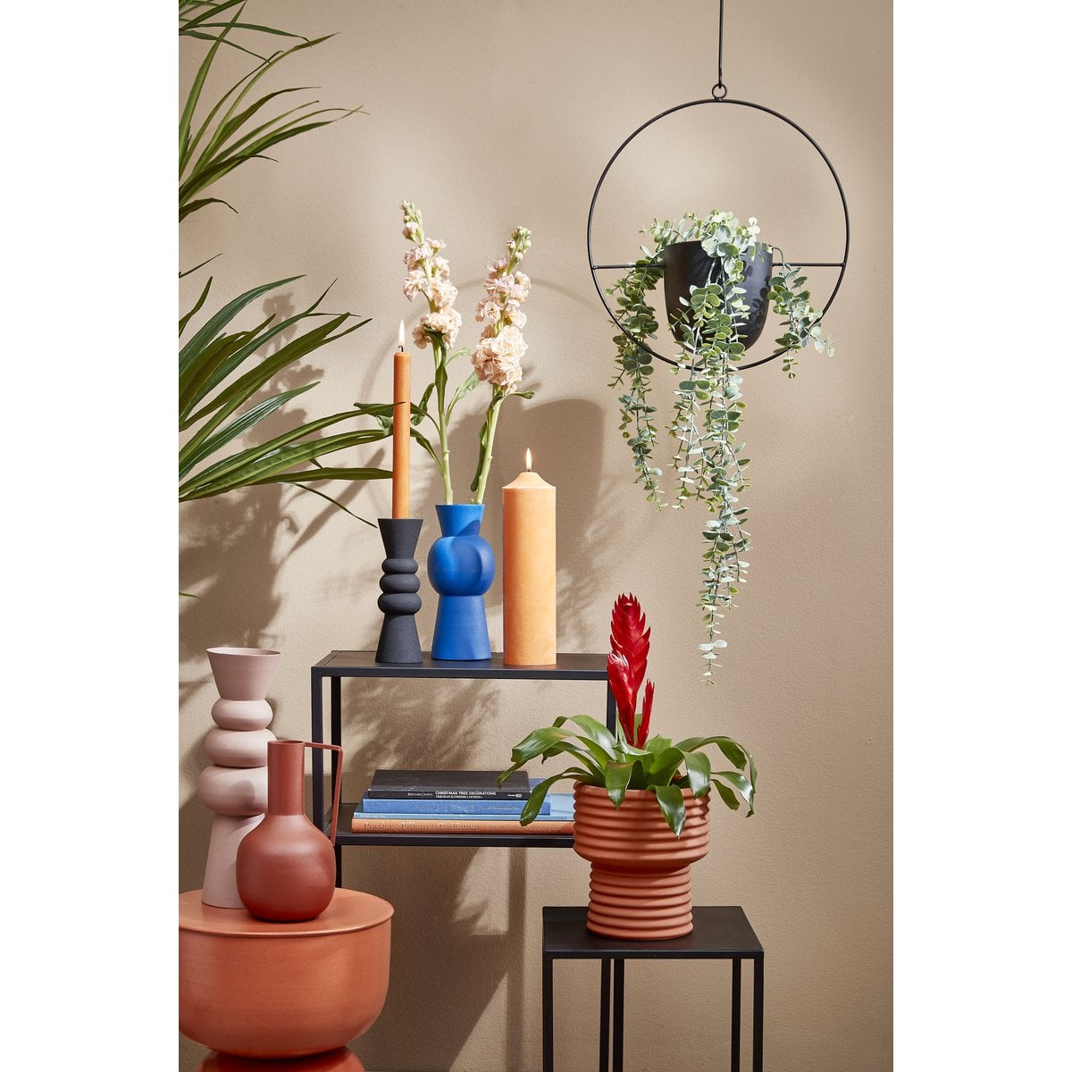 Blumentopf, der in Dexter Black hängt