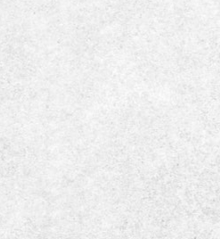 6-52689280434443-44326791217419.png