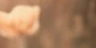 6-52800901808395-44325476761867.png