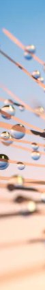 6-53090218869003-66751410766091.jpeg