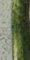 6-53185381957899-44343111418123.jpeg