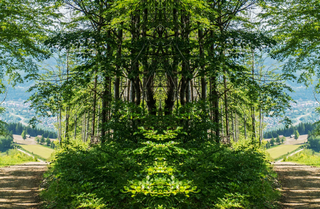 7-51275101602059-44327708852491.png