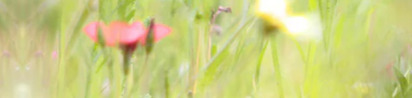 7-52067669180683-46223601369355.png